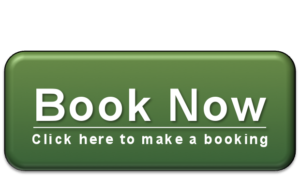 book-now-button v2